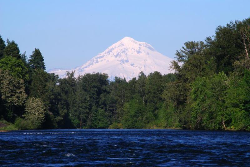 Dossier Hotel Portland Luaran gambar